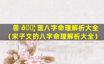 兽 🐦 医八字命理解析大全（宋子文的八字命理解析大全）